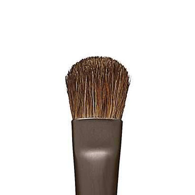 Eye Shader Brush
